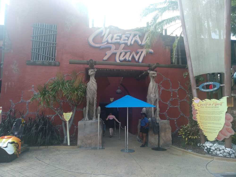 Atração Cheetah Hunt - Busch Gardens Tampa Orlando - Turiste-se