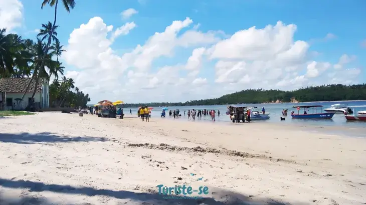 Barcos na Praia dos Carneiros PE - Turiste-se