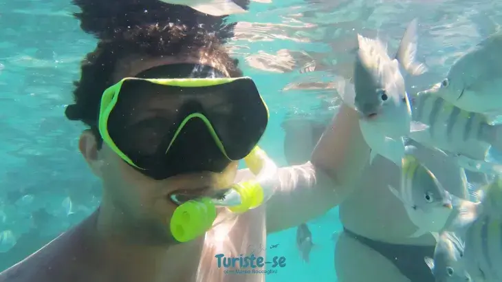 Mergulho em Piscinas Naturais Porto de Galinhas - Turiste-se