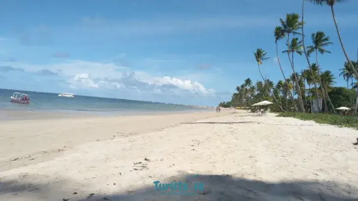 Vista Praia dos Carneiros PE - Turiste-se