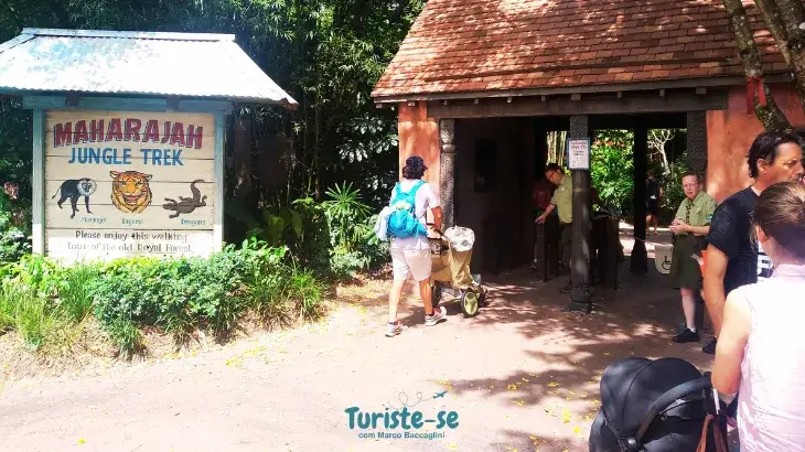 Maharajah Jungle Trek Animal Kingdom Orlando - Turiste-se