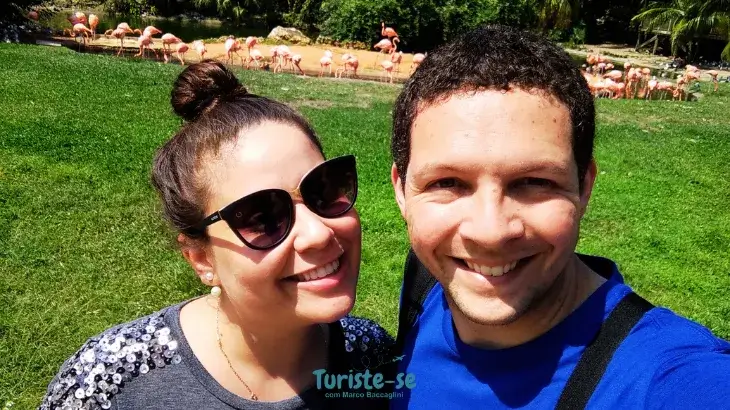 Nós no Busch Gardens Tampa Orlando - Turiste-se
