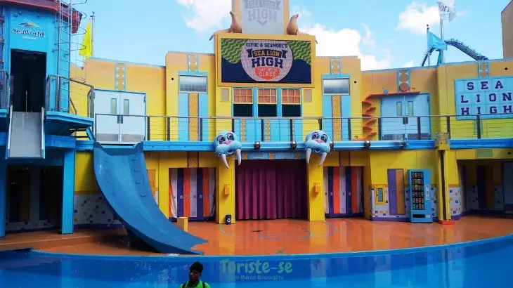 Sea Lion High The New Class SeaWorld Orlando - Turiste-se