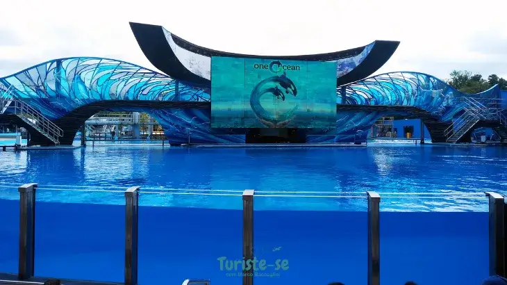 Shamu Stadium SeaWorld Orlando - Turiste-se
